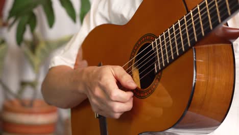 strings serenade with classical guitar melody