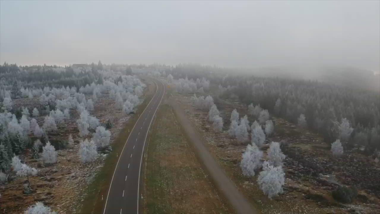 겨울에 블랙 포레스트의 얼어붙은 거리를 보는 멋진 전망