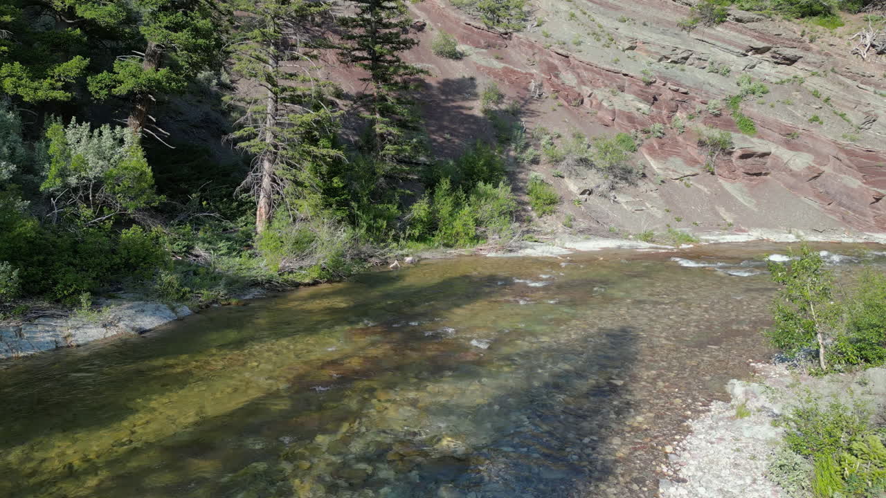 una hermosa curva del río en el bosque perenne de montana