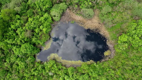 aerial of a small lake surrounded dense green forest