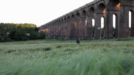 tiro deslizante, fotógrafo caminando a través de un campo de trigo en el viaducto del valle de ouse