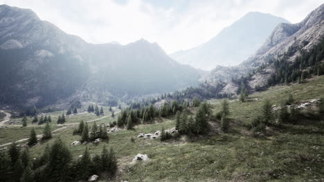 cross-road-on-hillside-meadow-in-mountains