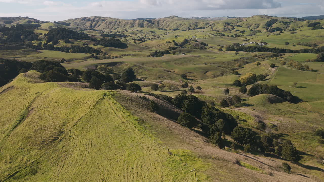 Paesaggio rurale suggestivo della Nuova Zelanda