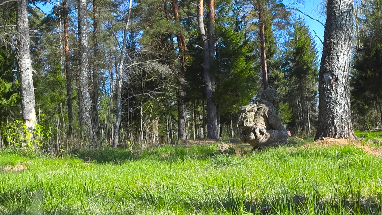 Low angle footage of a British amry soldier camoflaged, squatting and hiding behind a tree in a forest during a gorgeous warm and sunny summer day, with blue sky visible. Ma is keeping watch over area
