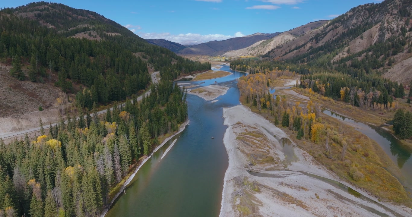 Aerial pullback of river channel winding through forest and gravel bars in Wyoming valley