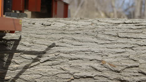 side view of a saw at a saw mill slicing through a large tree trunk