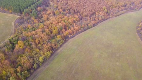 aerial drone shot of a forest on a hill in a rural area in hungary