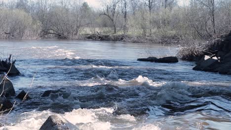 fast-flowing river rapids with rocks and trees