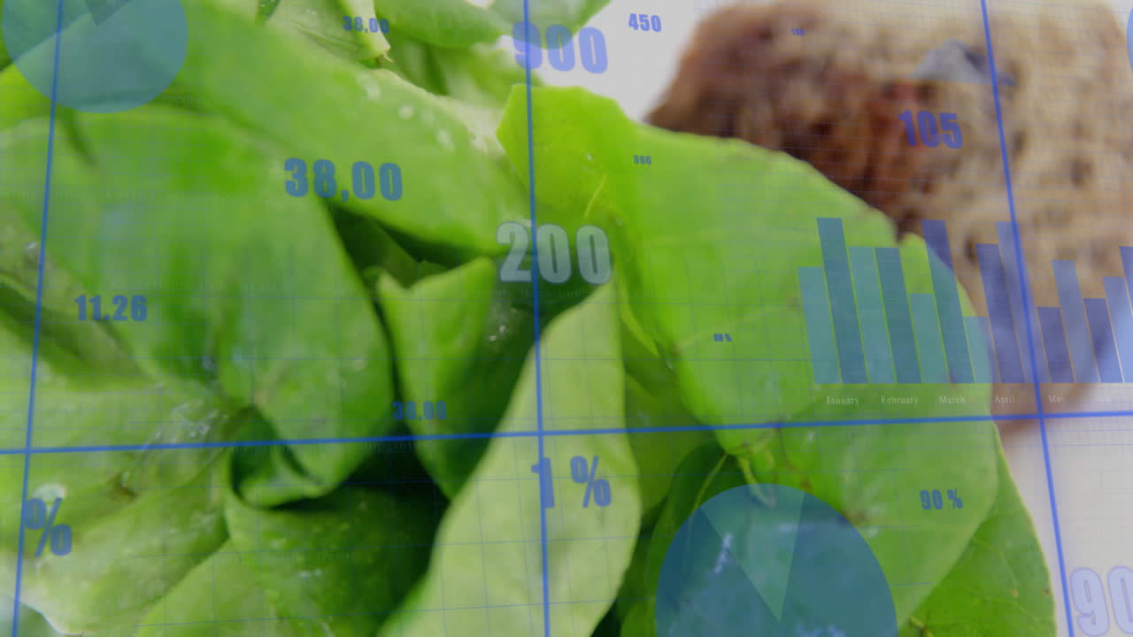 Financial data charts and graphs overlaying animation of lettuce leaves