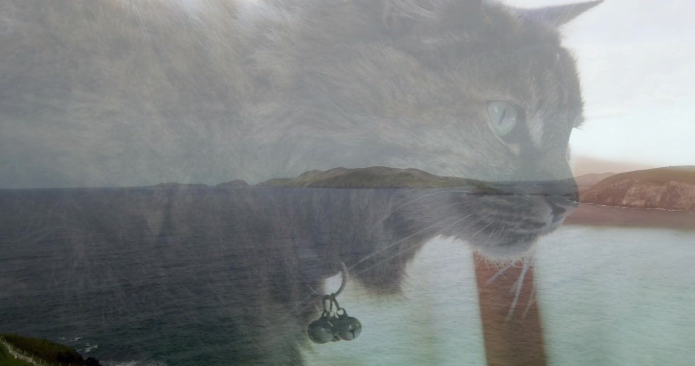 Vertical video: Tabby cat gazing sea window, overlay shifting and turning collar bells for design