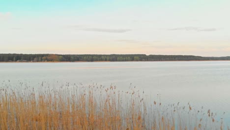 establishing lake reveal through reeds, aerial dolly in
