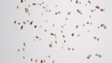 sheet of small walnut pieces raining down on white backdrop in slow motion