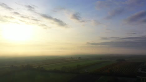 misty sunrise over rural landscape with wind turbines at the background