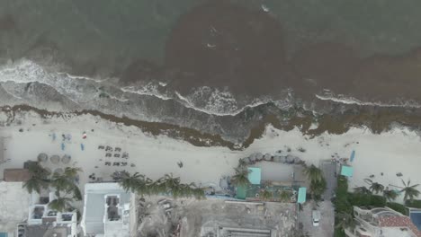 Sargassum-Algen-Am-Strand-Von-Playa-Del-Carmen-Quintana-Roo-Mexiko-14