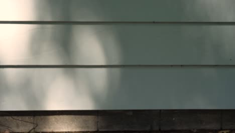 shadows playing on an outside wall of a suburban home