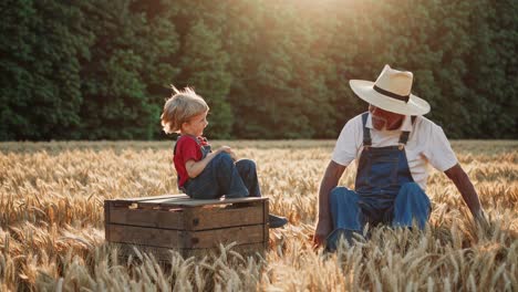 grandfather and grandson in a wheat field