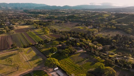 imágenes aéreas volando sobre campos y vecindarios en santa ynez california, país del vino y granjas al atardecer