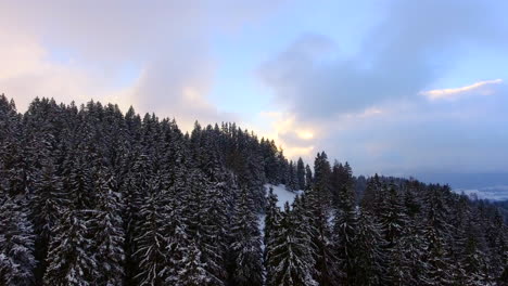 Aerial-of-a-forest-in-heavy-snow-fall