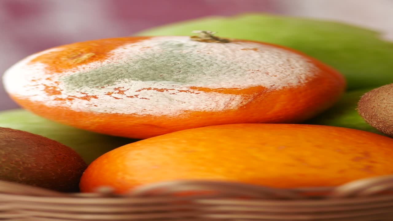 바구니 에 은 과일