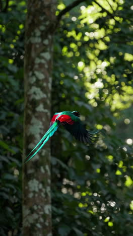 vibrant resplendent quetzal in flight through a lush forest