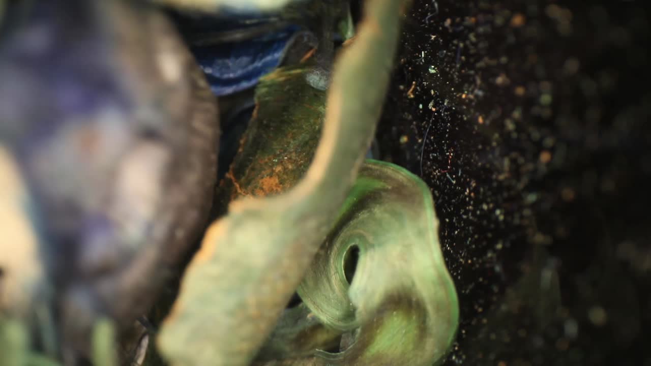 un jarrón de vidrio vacío que se llena con popurrí en cascada, usando una lente de sonda gran angular, obteniendo perspectivas únicas