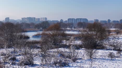 perspectiva de pájaro sobre un paisaje blanco y congelado en el delta de vacaresti, bucarest, rumania, lagos congelados