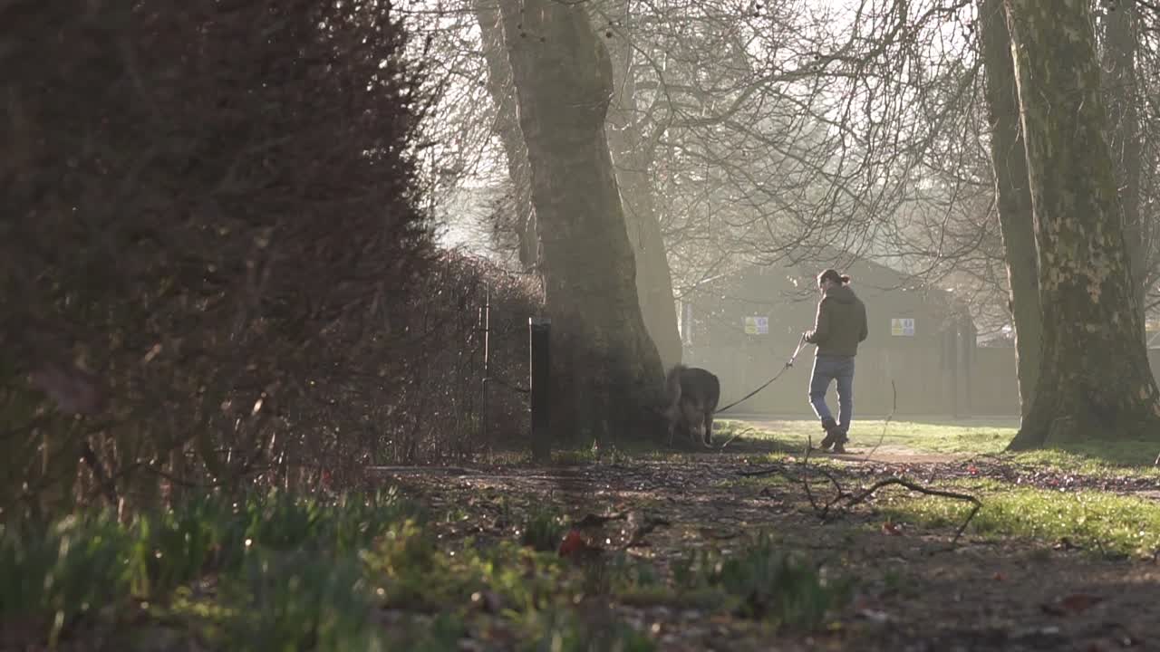 A young guy is walking his dog on the side of Queen's Park London while the morning sun lit his body from the right side in the foggy weather