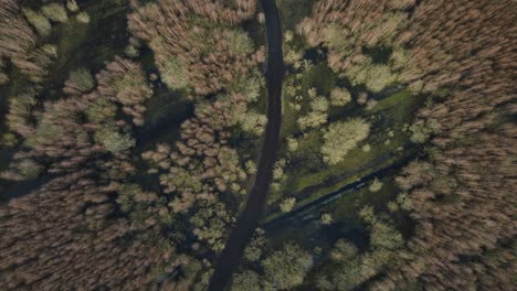 Aerial-establishing-view-of-the-lake-overgrown-with-dry-reeds,-lake-Pape-nature-park-,-sunny-spring-day,-reflections-on-the-water-surface,-birdseye-top-down-drone-shot-moving-forward