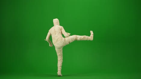 a mummy wrapped in bandages dancing waving hands and legs green screen isolated chroma key video a mummy wrapped in bandages dancing waving hands and legs green screen isolated chroma key video mock up workspace advertisement full length side view halloween holidays