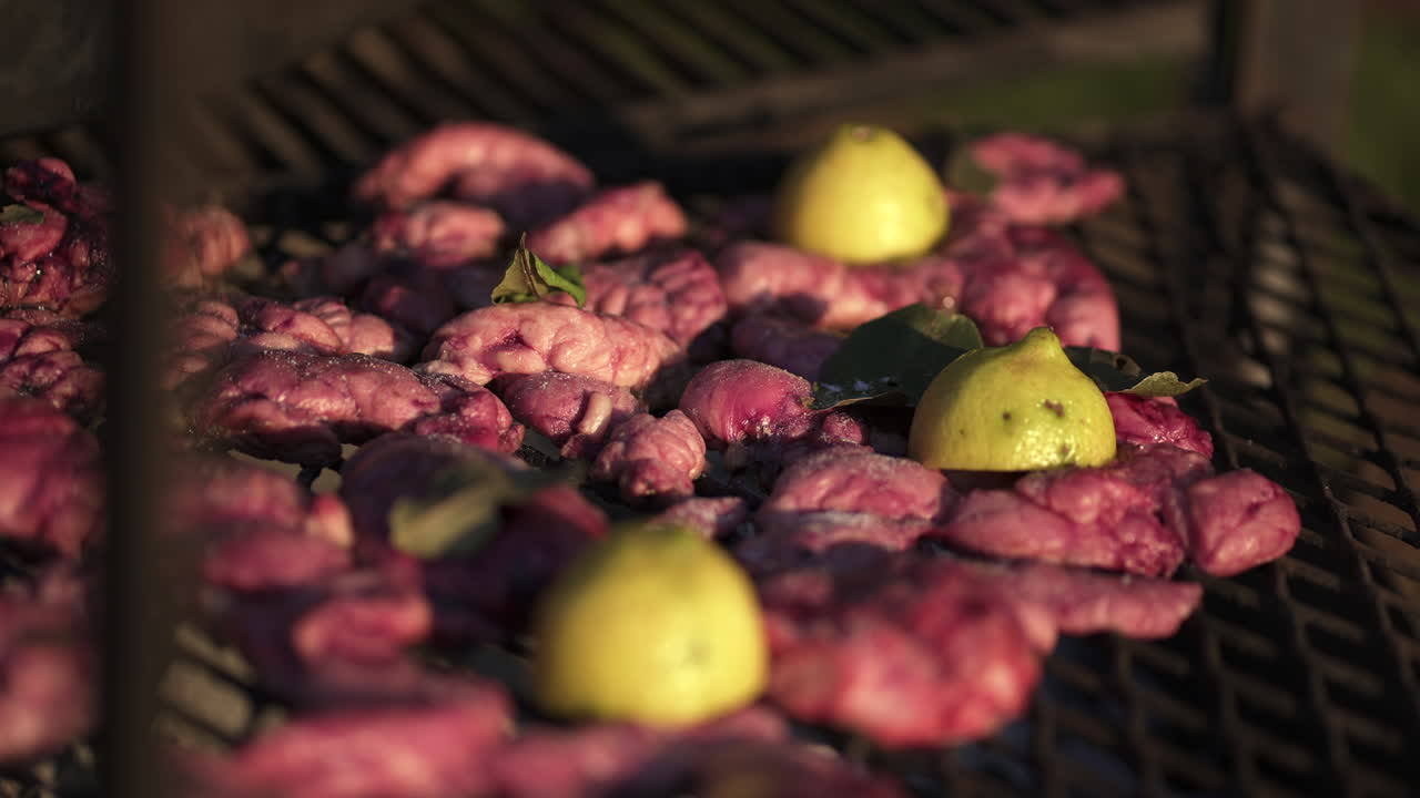 아사도 (asado) 의 근접 촬영, 레몬 위에 그릴에 고기, 벽난로 밖에서 bbq, 저녁 식사, 점심, 야외, 정적 촬영