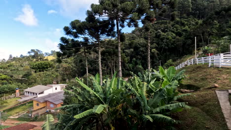 Timelapse Delfim Moreira Rosario, Brazil. Farm in the heart of nature