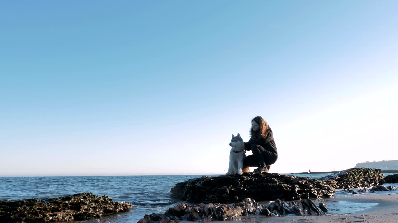 바다 근처의 시베리아 허스키와 함께 바위 위에 앉아있는 어린 소녀