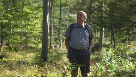 man hiking in the forest