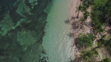 Draufsicht-Auf-Den-Strand-Von-Boca-Del-Drago,-Bocas-Del-Toro,-Panama-–-Stockvideo