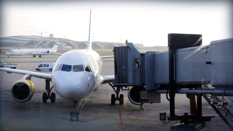 llega el avion0