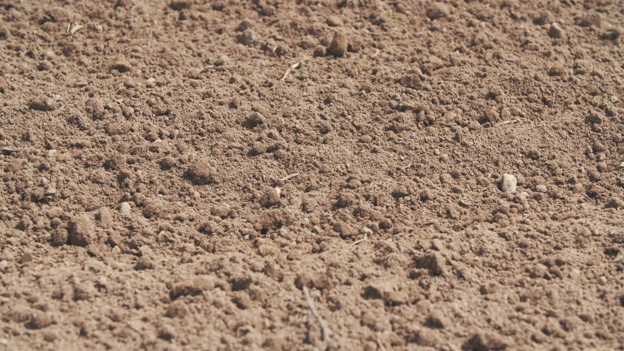 fondo de agricultura de campo recién cultivado