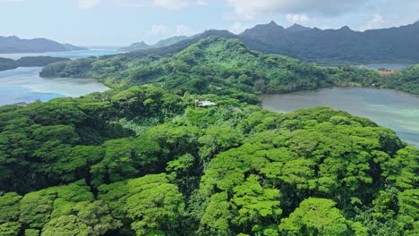 huahine island, french polynesia. drone shot of stunning landscape, tropical rainforest and bays