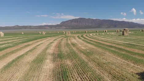 aerial footage of a hay field