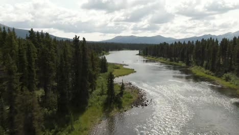 imágenes aéreas volando río arriba a través de los árboles para revelar a dos pescadores con mosca pescando en el río