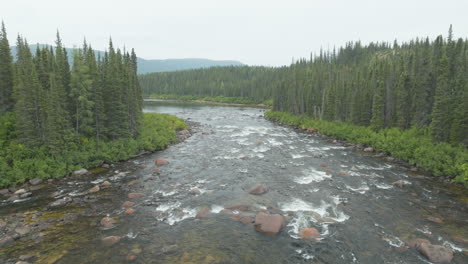 Wunderschöne-Luftaufnahme-Eines-Flusses,-Der-Durch-Die-Wildnis-Von-Neufundland-Und-Labrador,-Kanada,-Fließt