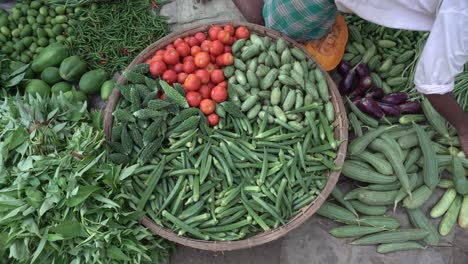 there are many kinds of vegetables in the basket