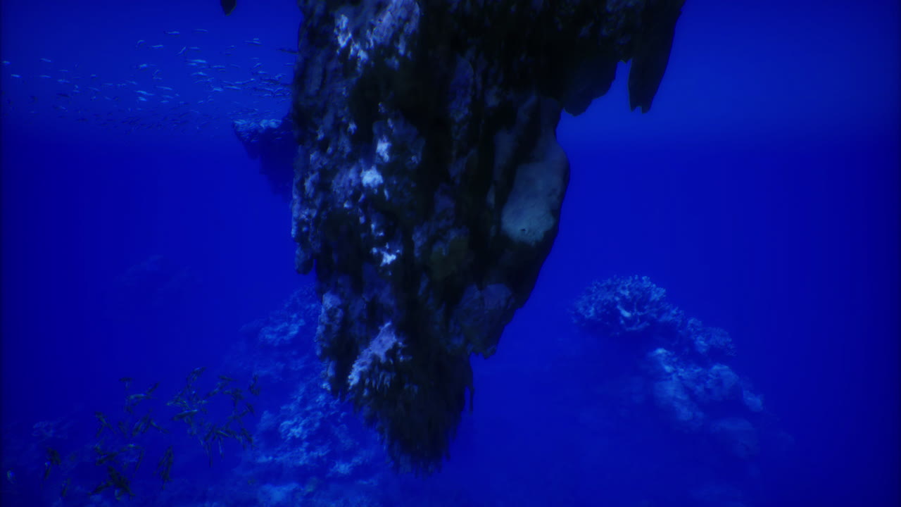 Underwater rock formation surrounded by marine life in blue ocean