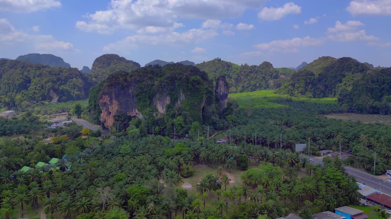 열대 풍경 카르스트 산 길 나무