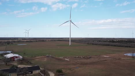 windmill farm sunbeam landscape 50fps