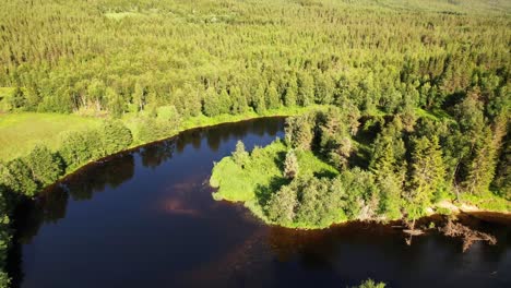 River-With-Calm-Waters-Surrounded-By-Dense-Forest-In-Summer