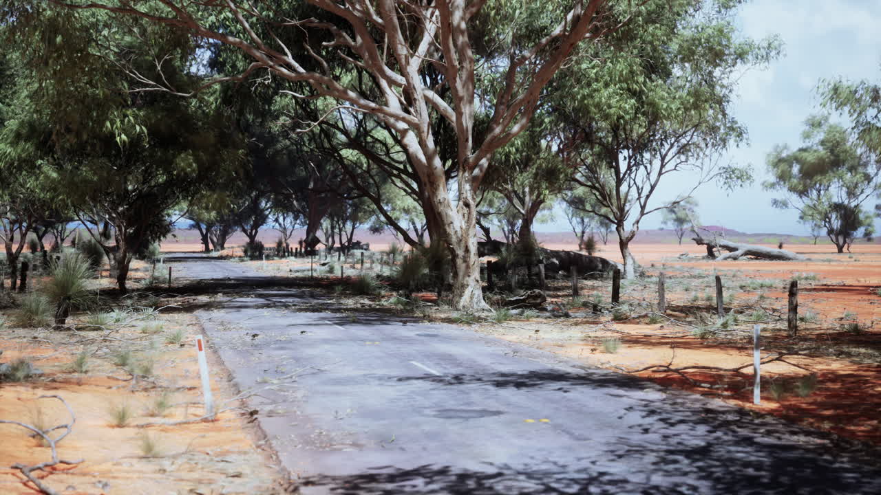 나무 에 있는  빈 사막 도로