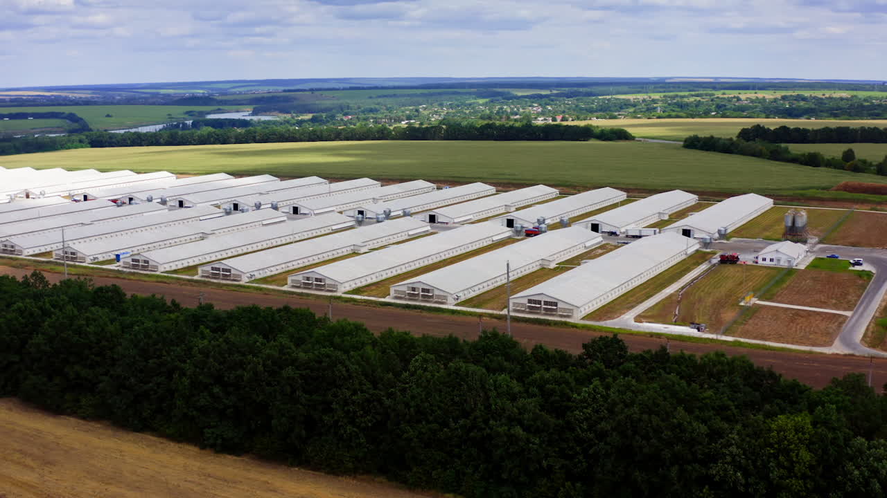 Farm among beautiful green nature. Modern white farm buildings in environment in summer. Agricultural complex on field.