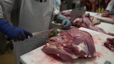 cow meat filet being separated by a worker with a knife at a meat processing plant, close up shot