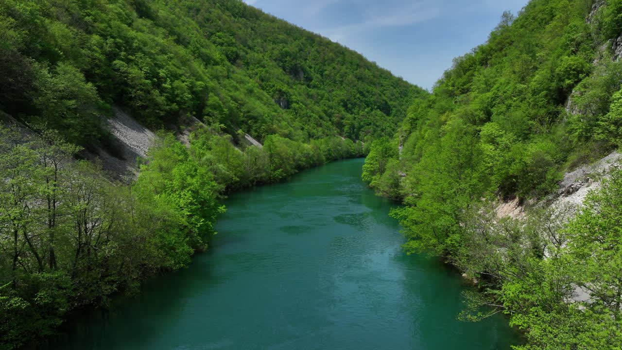 Una scena naturale incontaminata con un fiume limpido fiancheggiato da alberi appena rinverditi e un cielo sereno, vista dall'alto.