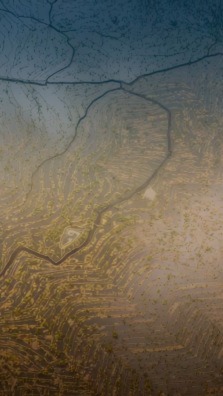 Vertical video: Subtle drone drift revealing terraced terrain in aerial view, showing dark channels